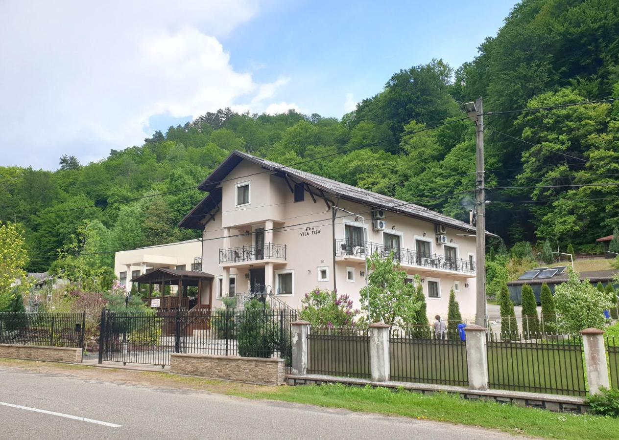 Vila Tisa Tismana Exterior photo
