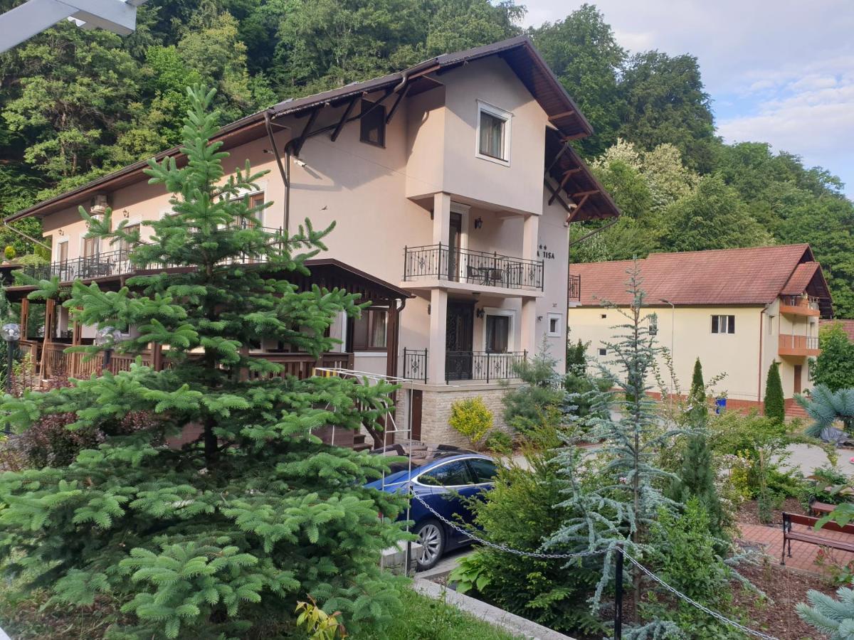 Vila Tisa Tismana Exterior photo
