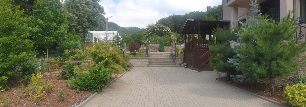 Vila Tisa Tismana Exterior photo