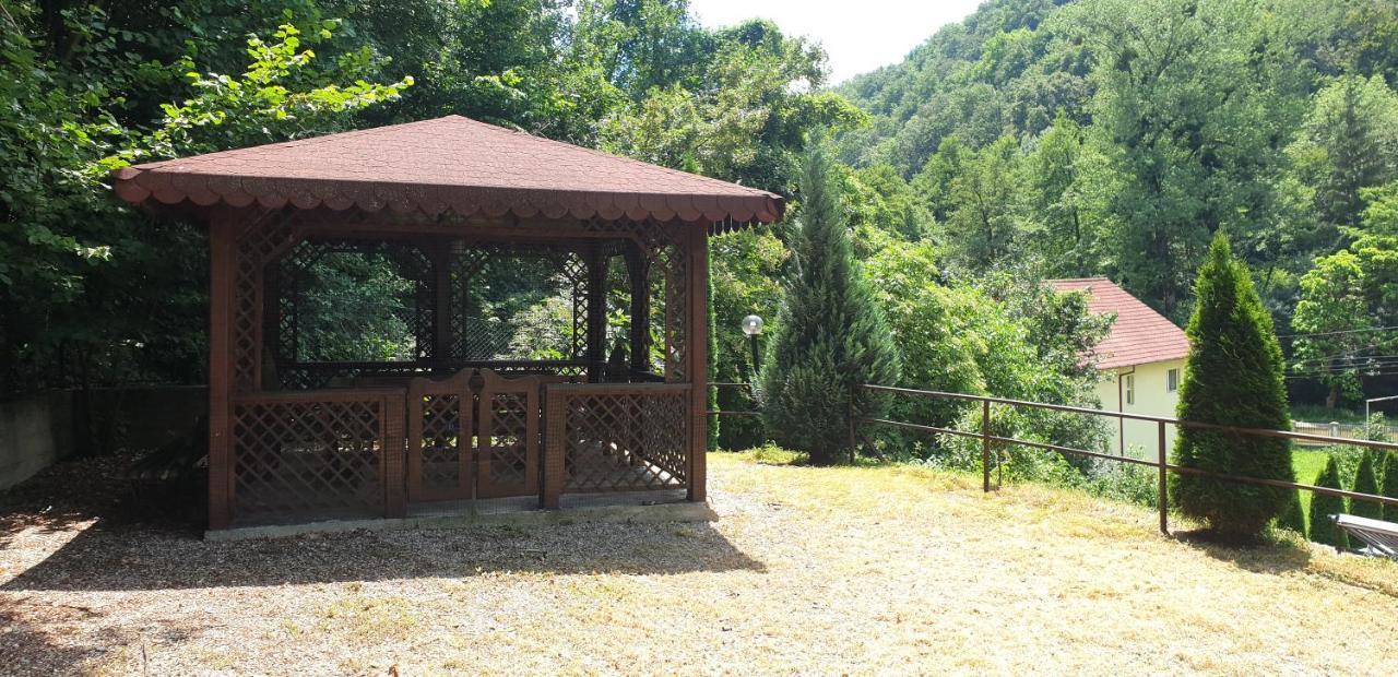 Vila Tisa Tismana Exterior photo