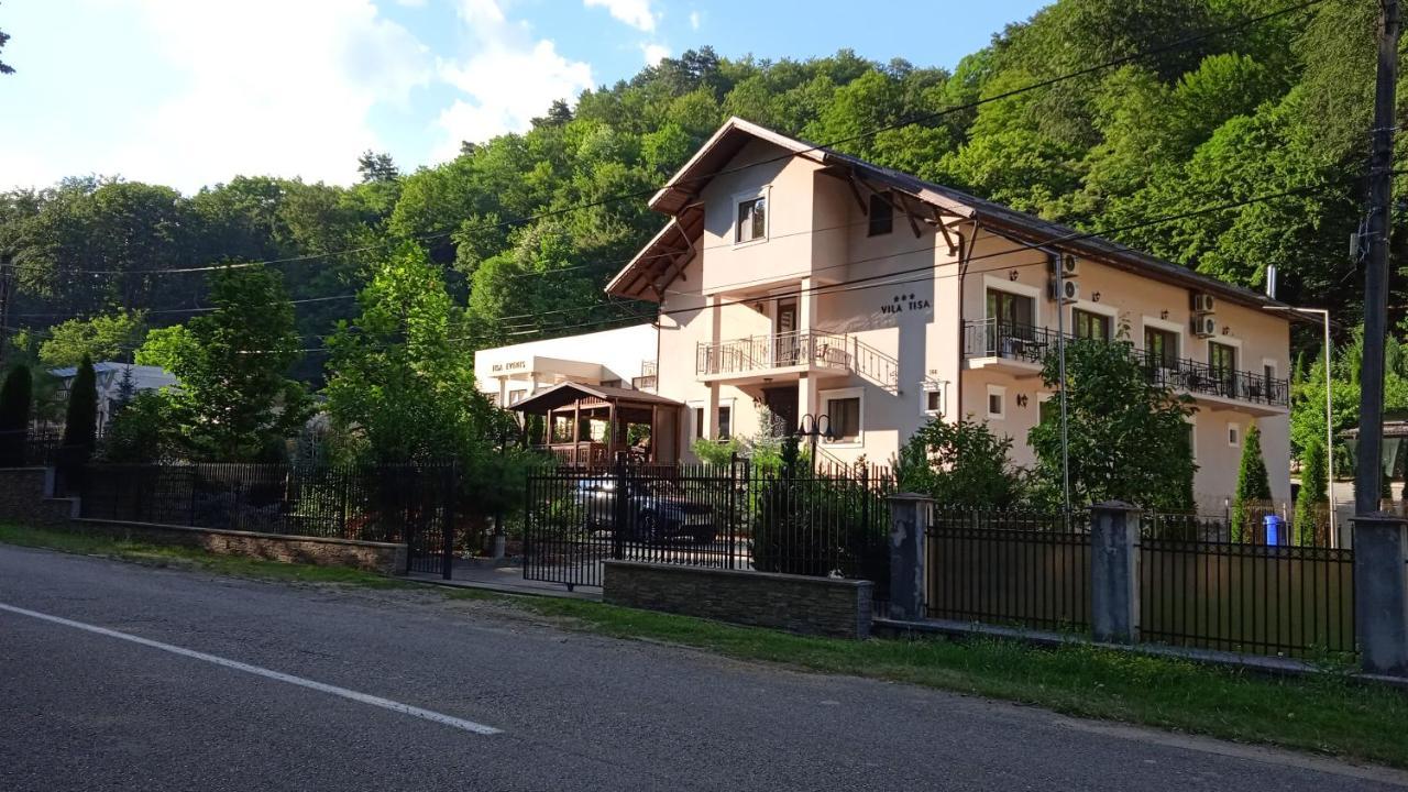 Vila Tisa Tismana Exterior photo